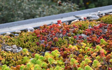 the cost of Gooseham green roof installation